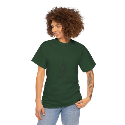Graphic Anime T-Shirt — 'I Am The One Closest to Perfection' Graphic Tee